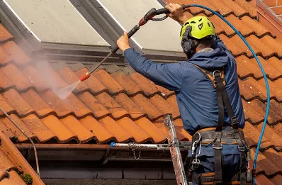 Démoussage et hydrofuge de toiture à Freissinouse